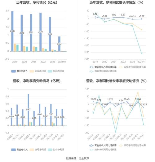 联迪信息 2024年上半年净利润同比下降86.08 拟10派1元